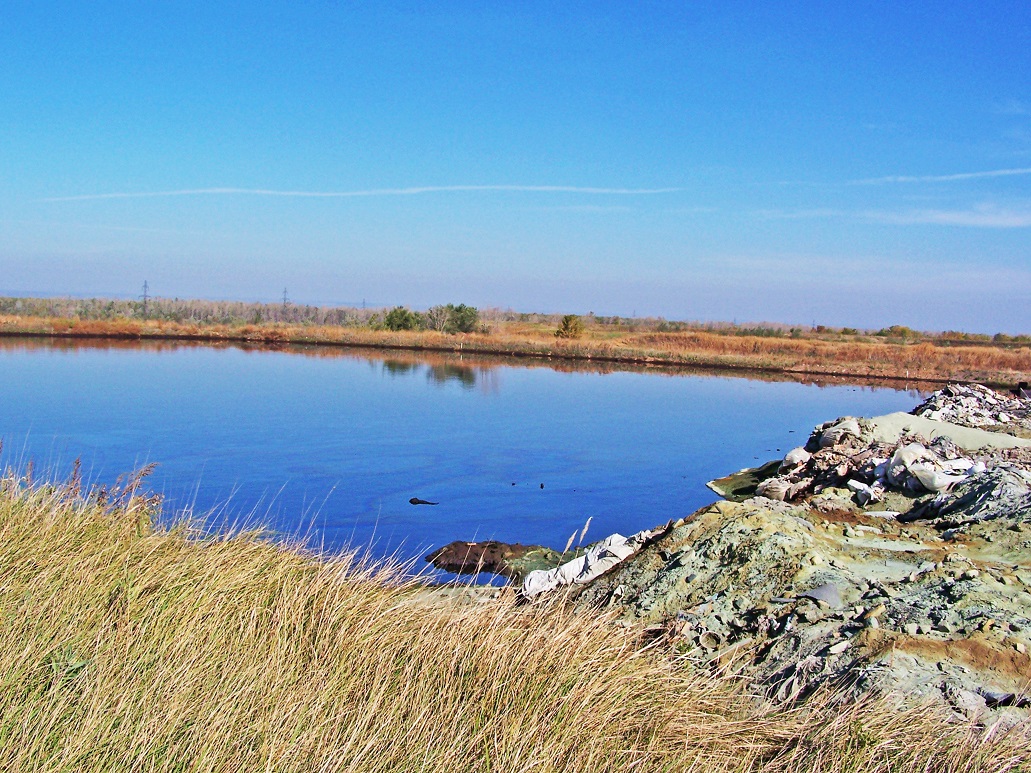 почва 3 класс реферат почва 3 класс реферат